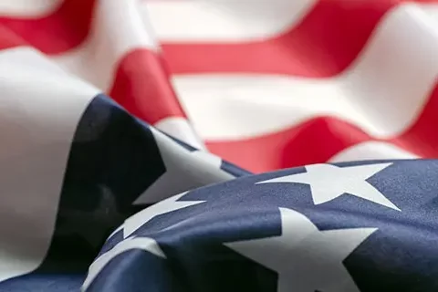 Read more about the article United States Ingredients Business Strategy