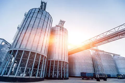 Read more about the article Carbohydrates Acquisition Strategy