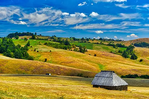 Read more about the article Animal Feed, Premixes and Feed Additives Competitive Landscape in Serbia