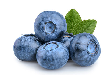 Read more about the article Anthocyanins, Bilberry and Blueberry Polyphenols