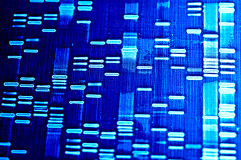 Read more about the article Commercial Opportunities for DNA Fingerprinting Technology