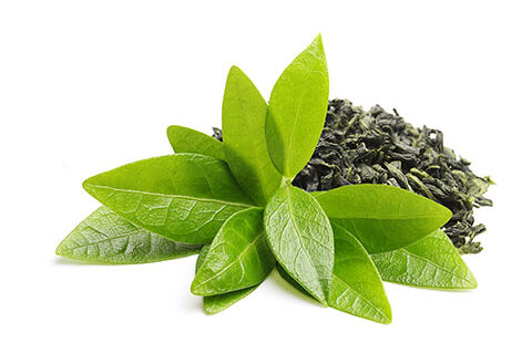 Read more about the article Green Tea Polyphenols
