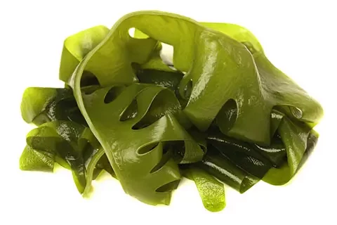 Read more about the article Health and Hydrocolloids