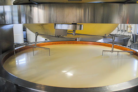 Read more about the article Dairy Enzyme Market Opportunities