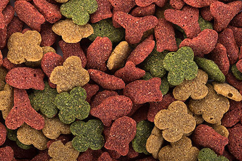 Read more about the article Market Plan for Dry Pet Food in Europe