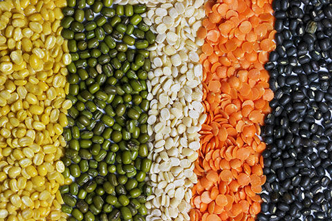 Read more about the article Pulse-Based Ingredients Markets: Proteins, Starches and Fibres