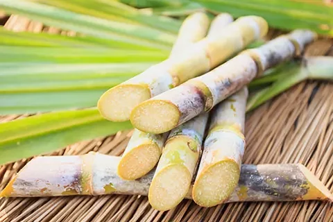 Read more about the article Policosanol Market Strategy