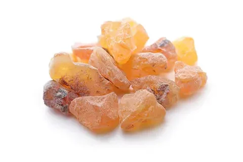 Read more about the article Resin-Derived Bioactives – Feasibility and Piloting Studies