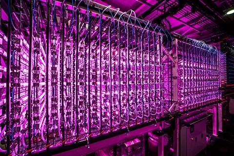 Read more about the article Single-Cell Protein (SCP)