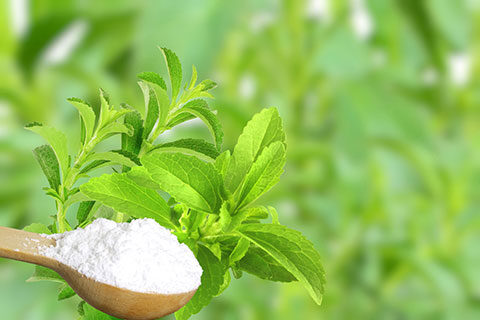 Read more about the article Specialty Sweeteners Market Briefing