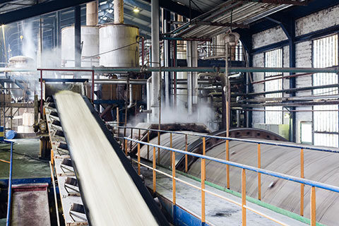Read more about the article The EU Sugar Industry
