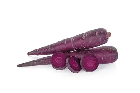 Read more about the article Vegetable-derived Health Ingredient Market