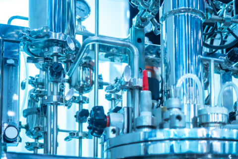 CPL Business Consultants completed a detailed technical due diligence on a global precision fermentation company for a Private Equity client.