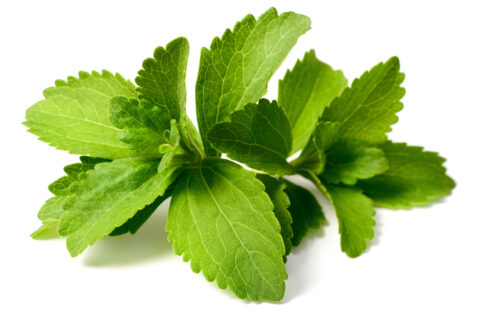 Read more about the article Reb M Techno-Economic Analysis